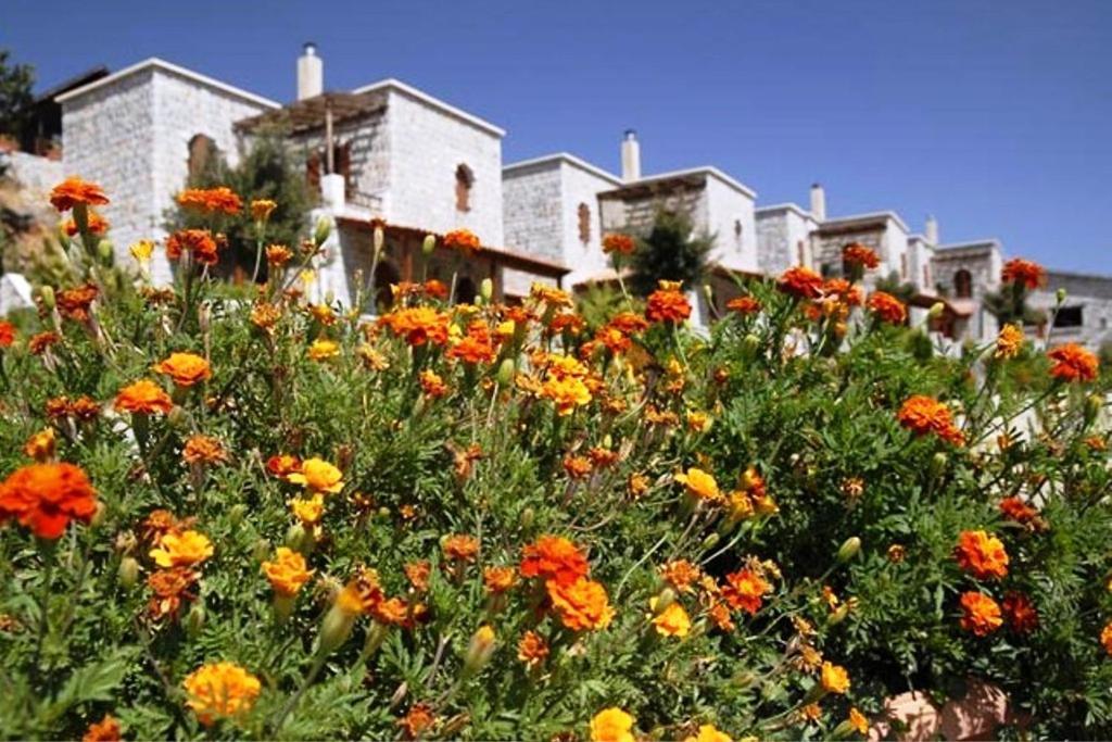 Lefkoritis Resort Askifou Sfakia Petres  Exterior foto
