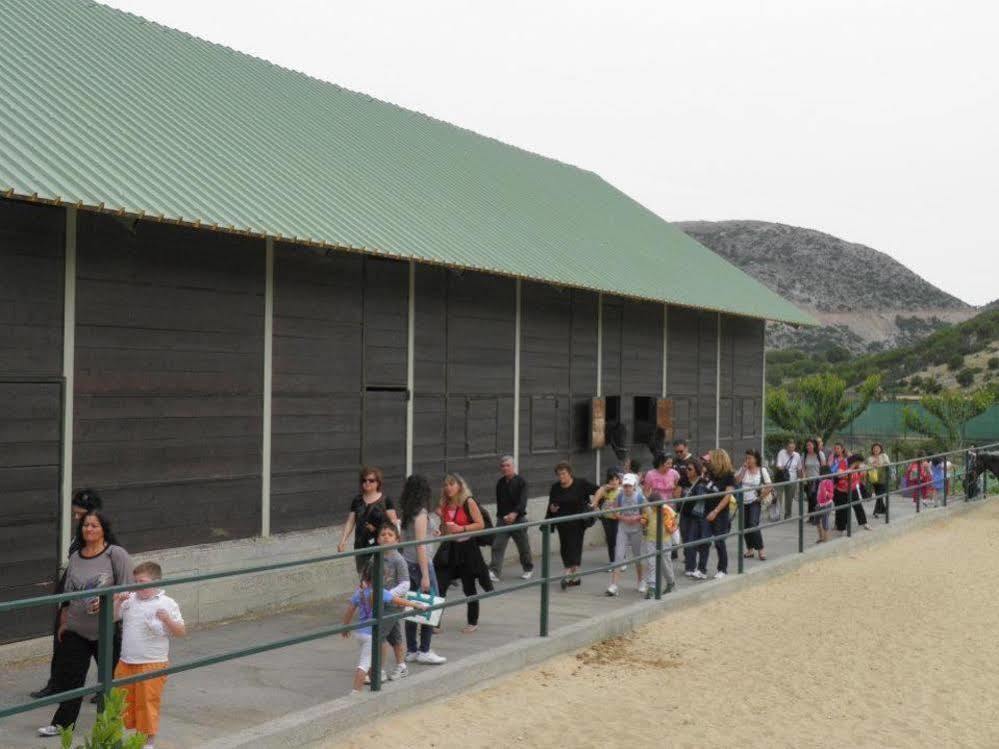 Lefkoritis Resort Askifou Sfakia Petres  Exterior foto